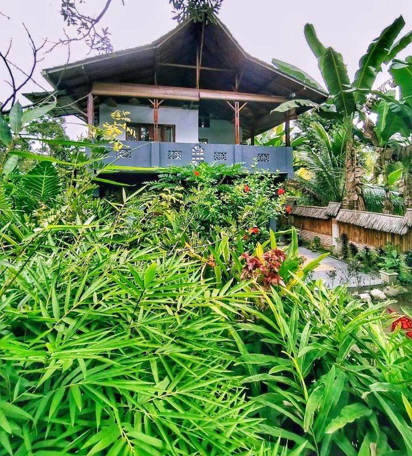 Sumatra Orangutan Discovery Villa Bukit Lawang Esterno foto