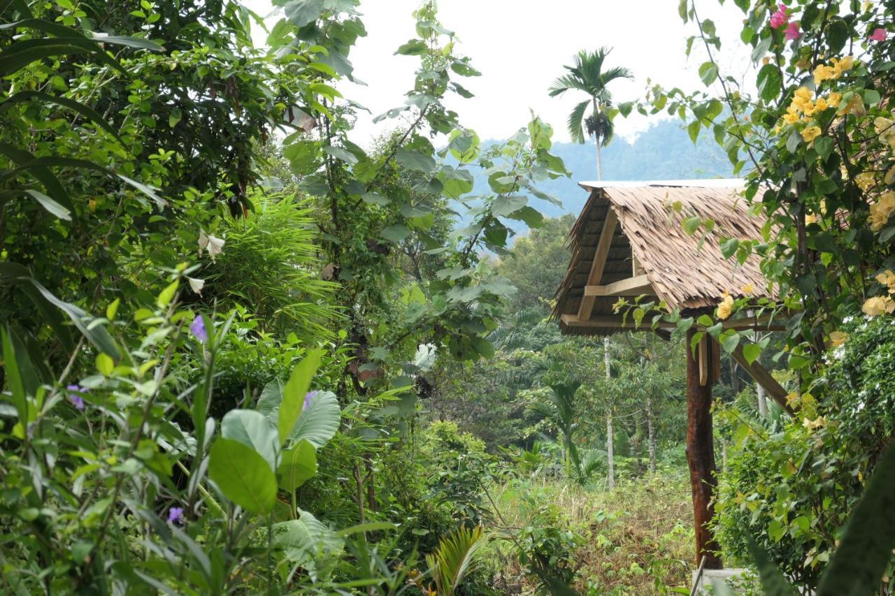 Sumatra Orangutan Discovery Villa Bukit Lawang Esterno foto