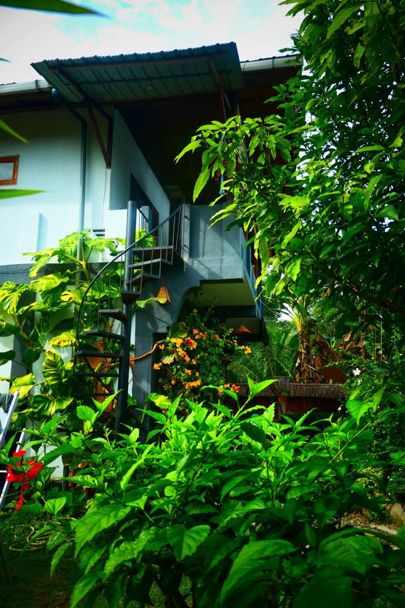 Sumatra Orangutan Discovery Villa Bukit Lawang Camera foto